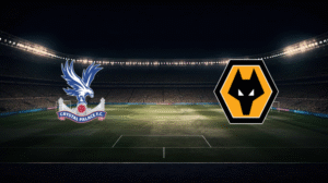 صورة المقالة