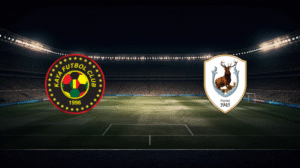 صورة المقالة