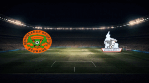 صورة المقالة