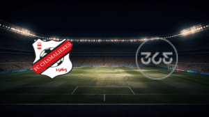 صورة المقالة