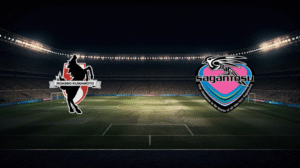 صورة المقالة