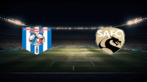 صورة المقالة