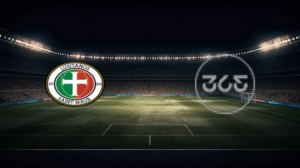 صورة المقالة