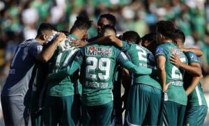 صورة المقالة