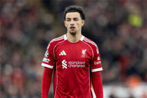 صورة المقالة