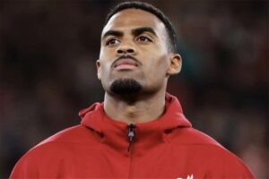 صورة المقالة