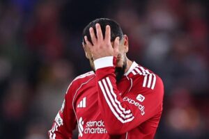 صورة المقالة