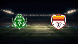 صورة المقالة