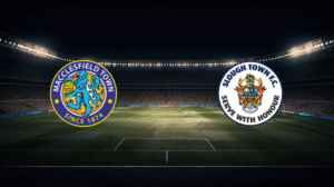 صورة المقالة