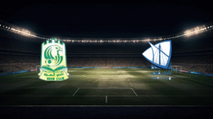 صورة المقالة