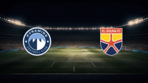 صورة المقالة