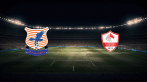 صورة المقالة