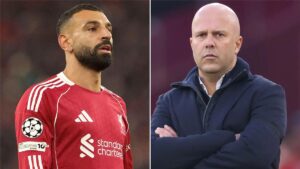 صورة المقالة