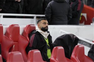 صورة المقالة