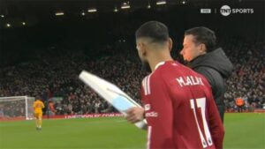 صورة المقالة