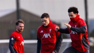 صورة المقالة