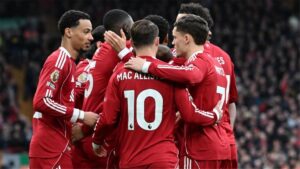 صورة المقالة