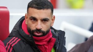 صورة المقالة