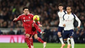 صورة المقالة