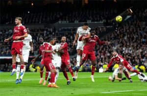 صورة المقالة