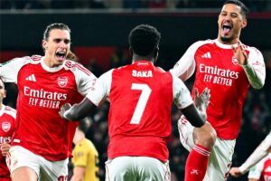 صورة المقالة