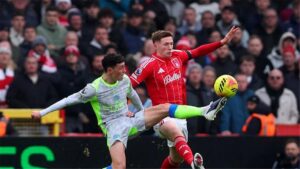 صورة المقالة