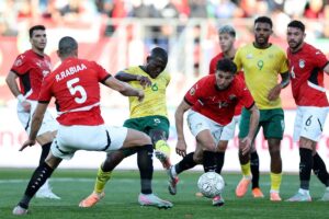 صورة المقالة