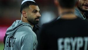 صورة المقالة