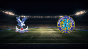 صورة المقالة