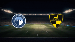 صورة المقالة