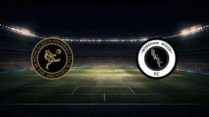 صورة المقالة