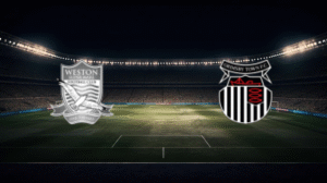 صورة المقالة