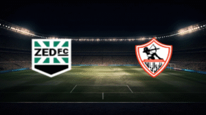 صورة المقالة