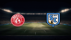 صورة المقالة