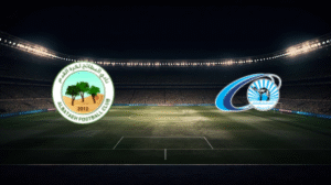 صورة المقالة