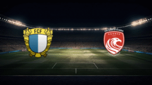 صورة المقالة