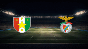 صورة المقالة