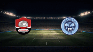 صورة المقالة