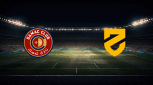 صورة المقالة