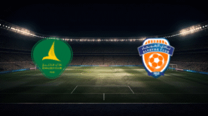 صورة المقالة