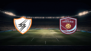 صورة المقالة