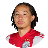 لاعب: فيتز-جيم