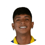 لاعب: أندرادي