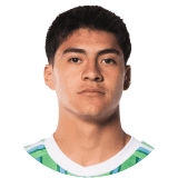 لاعب: فارغاس