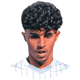 لاعب: الهواوي