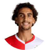 لاعب: ترغالين