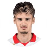 ألايبيغوفيتش