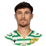 كانيكوفسكي