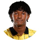 لاعب: هوساوي