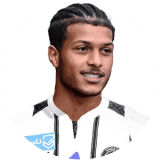 لاعب: العنزي